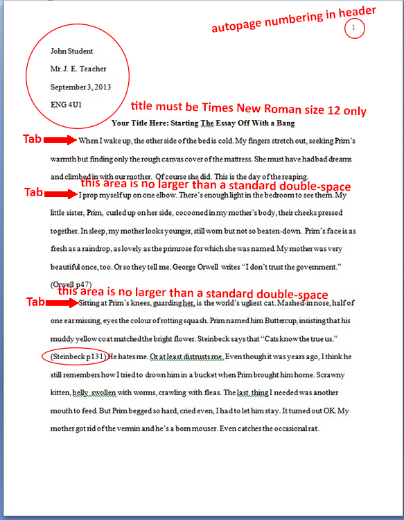 times new roman essay format